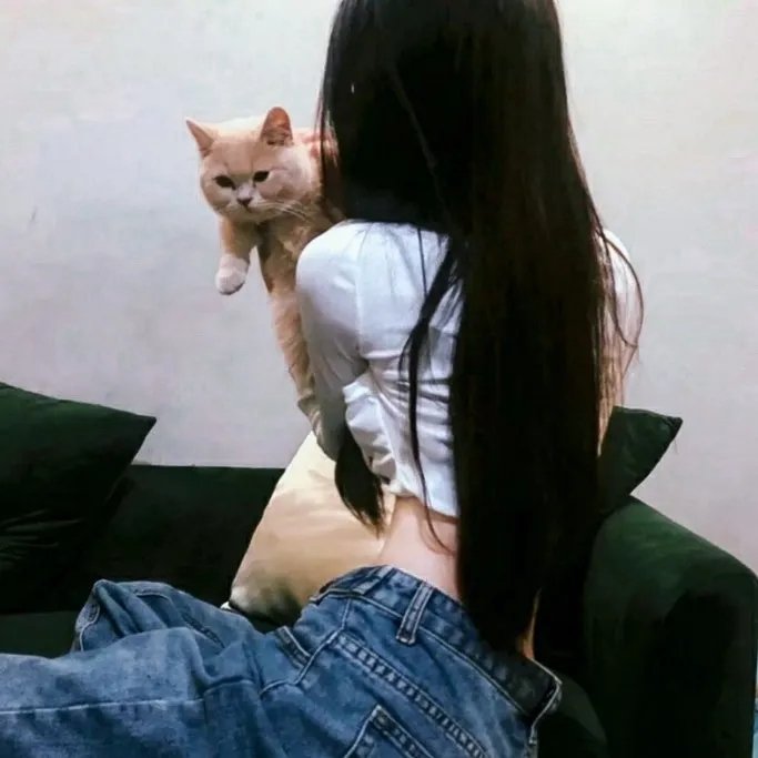 彩叶草之梦